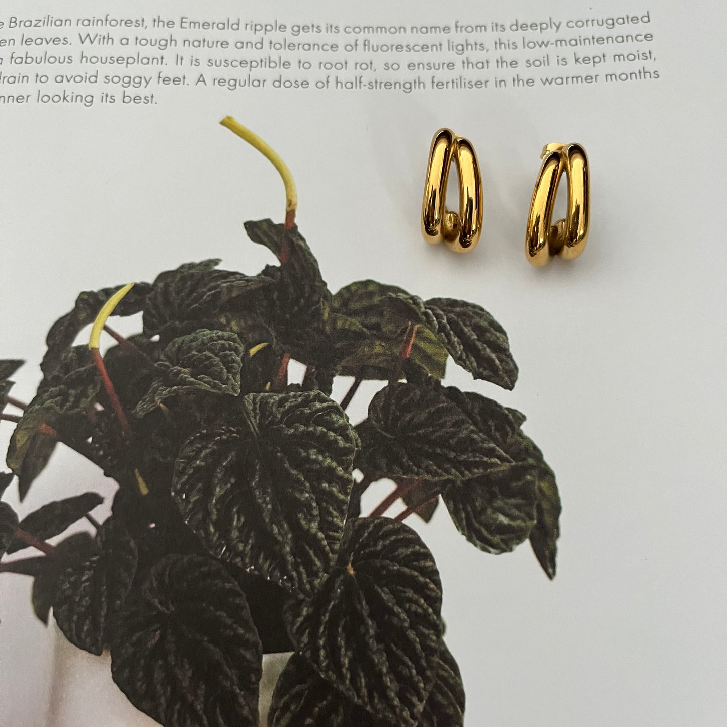 Mia Earrings (Gold)