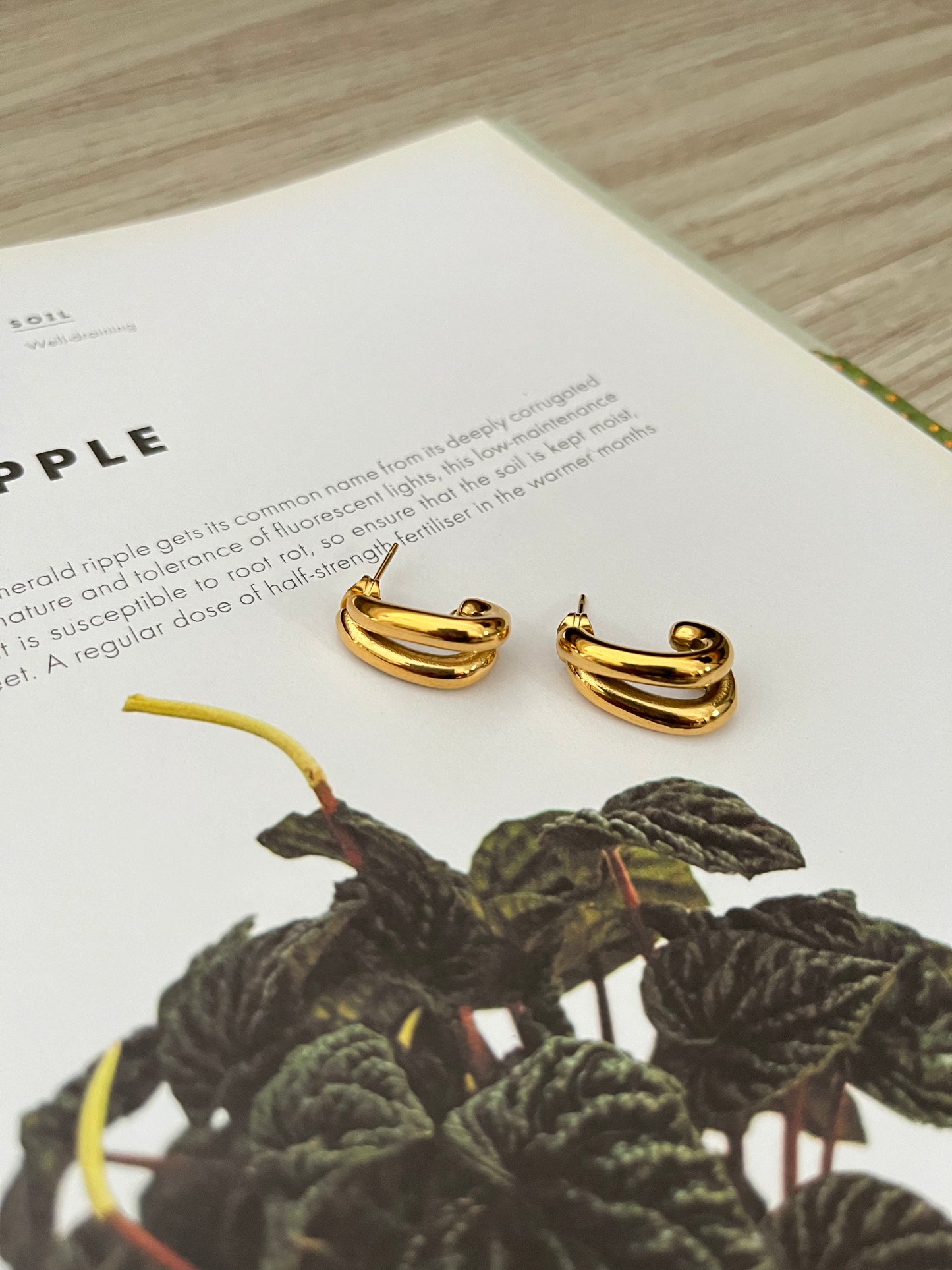 Mia Earrings (Gold)