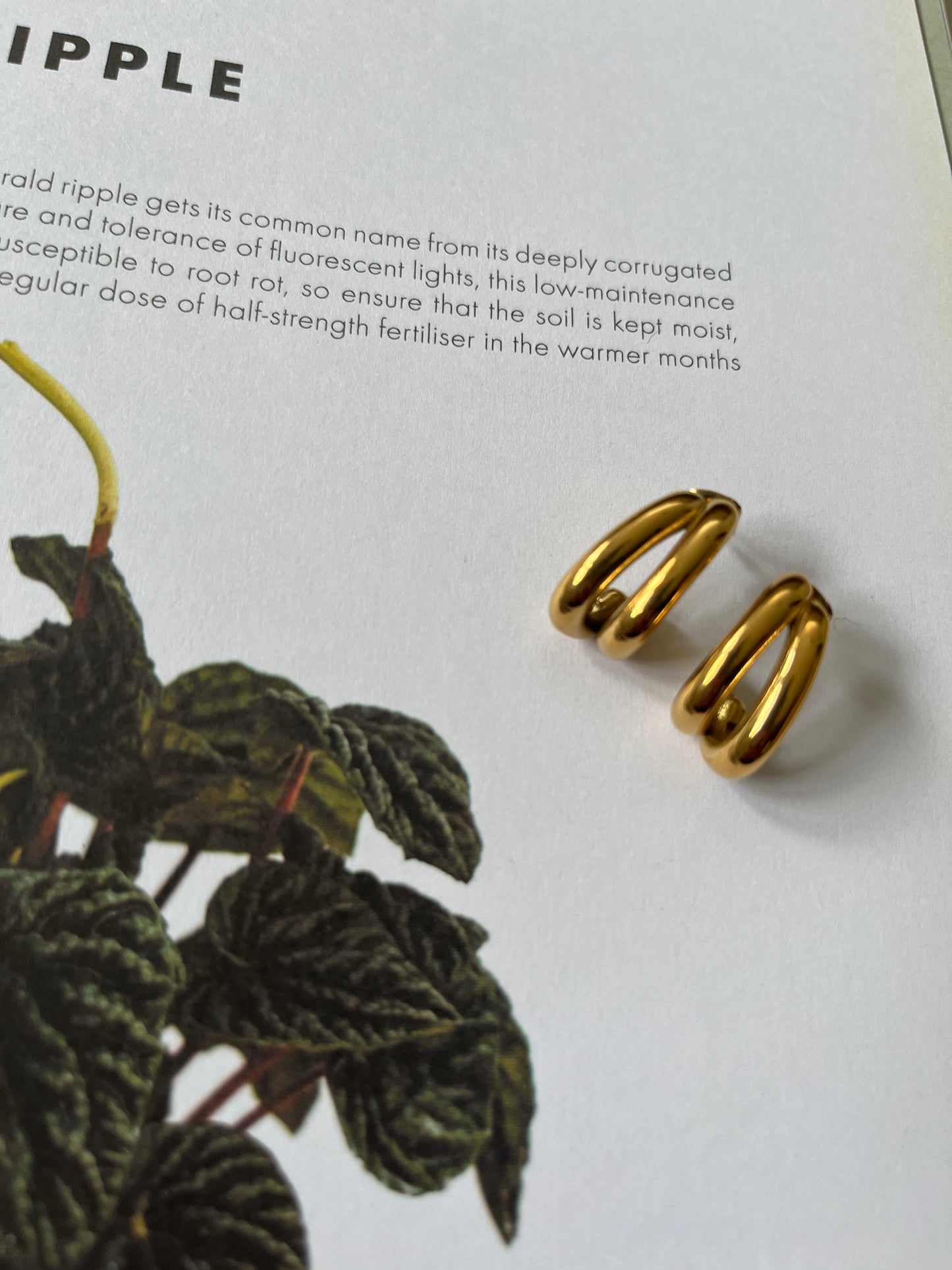 Mia Earrings (Gold)