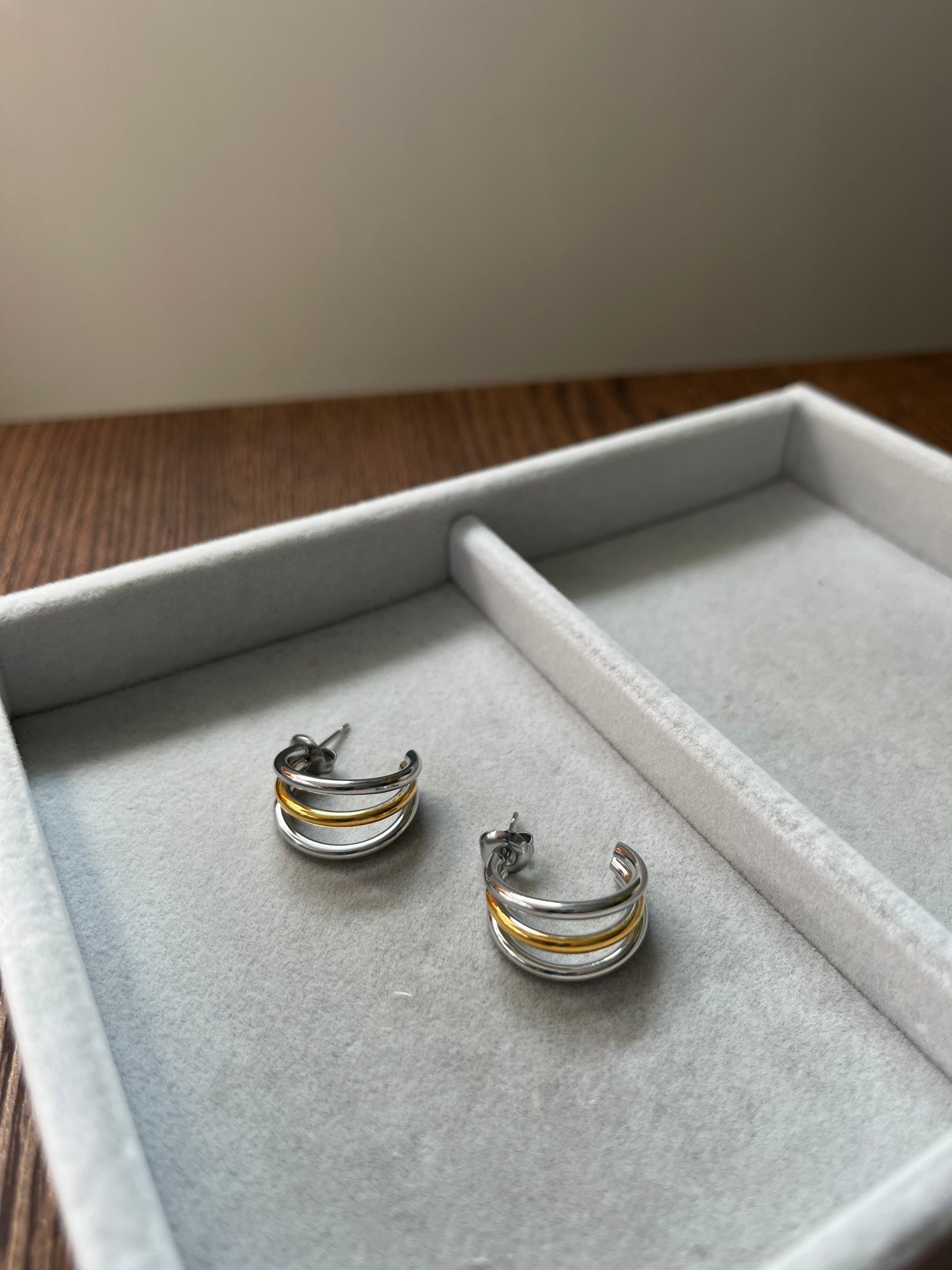 Danica Earrings (Two-Tone)