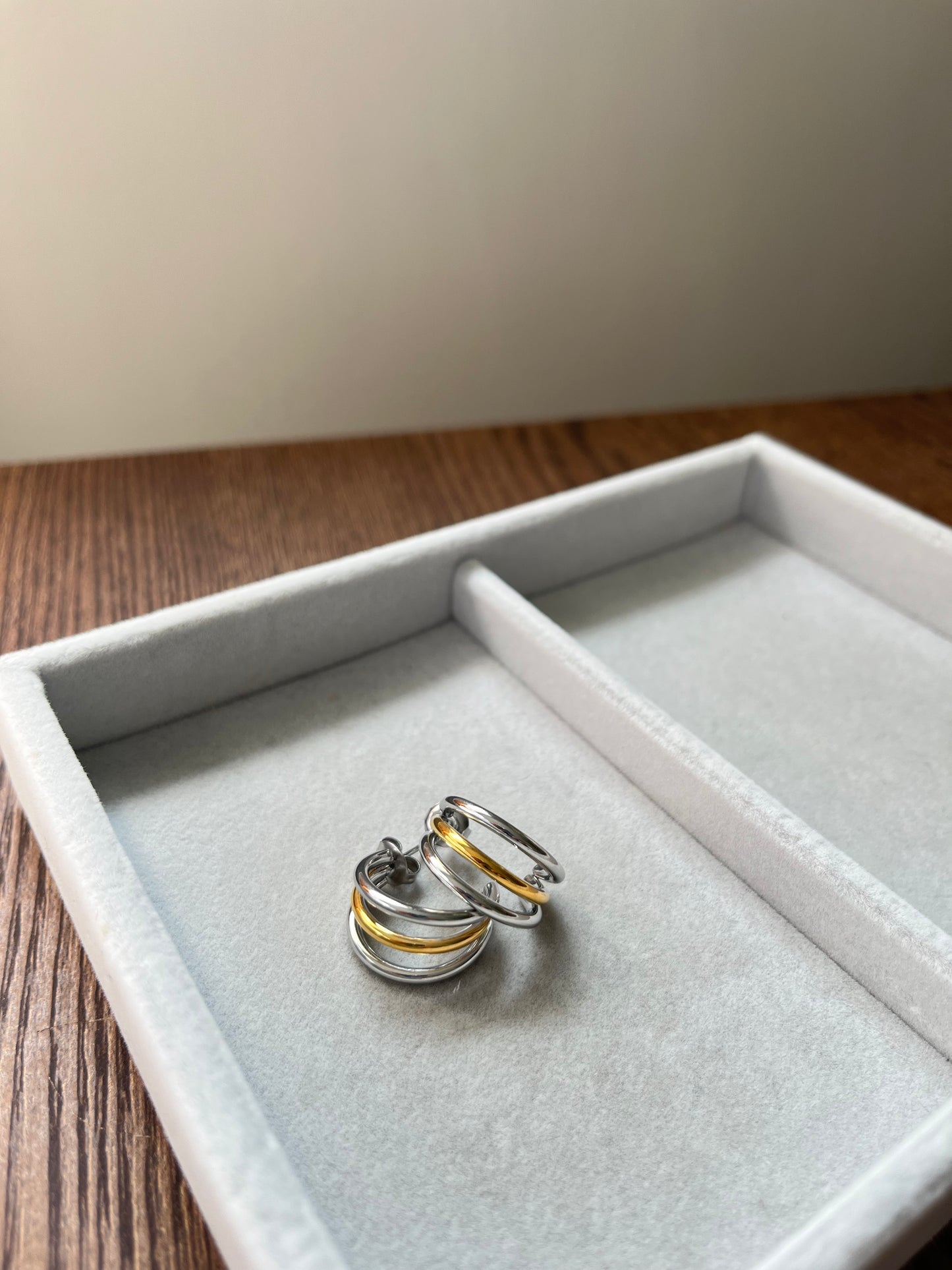 Danica Earrings (Two-Tone)