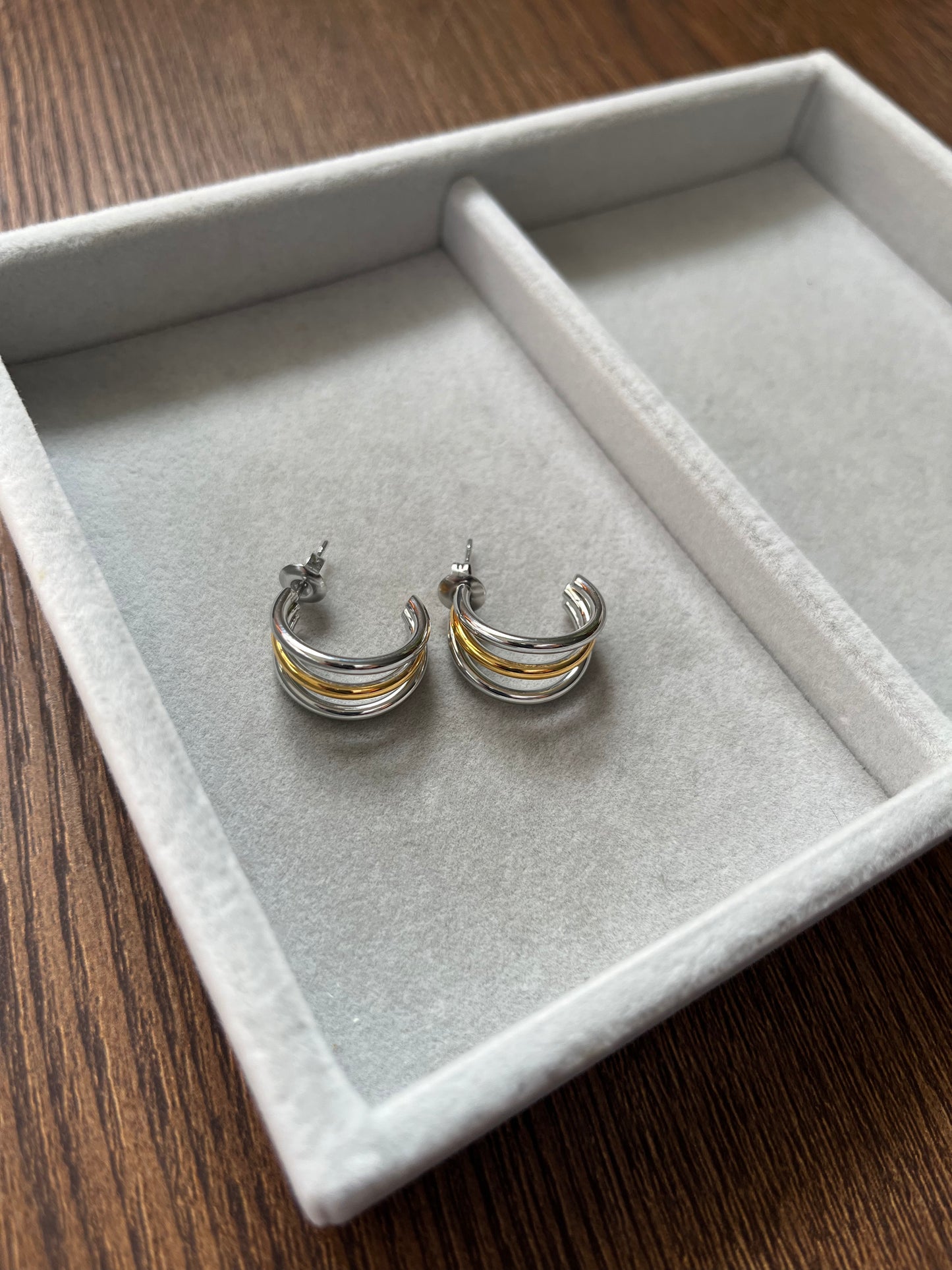 Danica Earrings (Two-Tone)