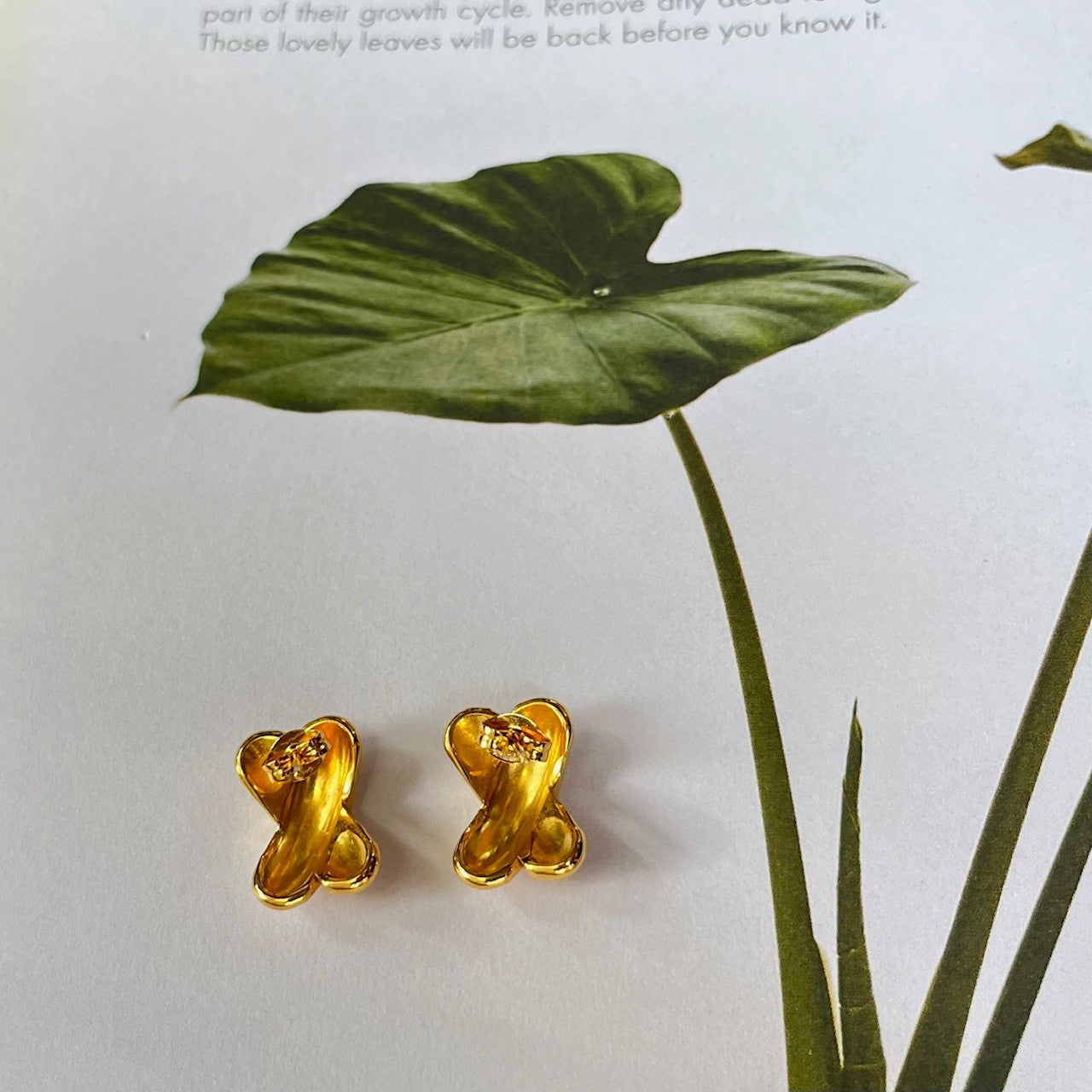 Lora Earrings