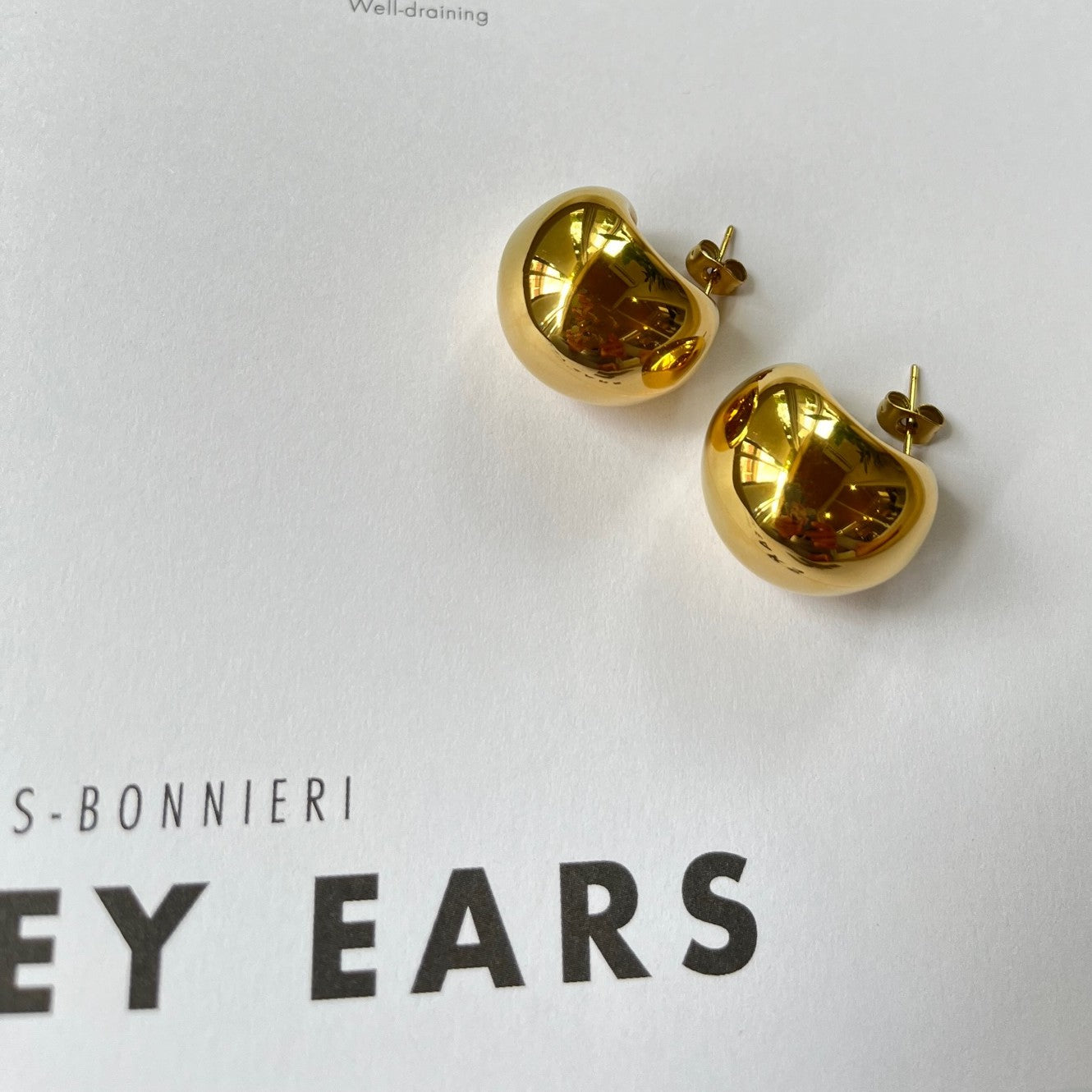 Stella Earrings