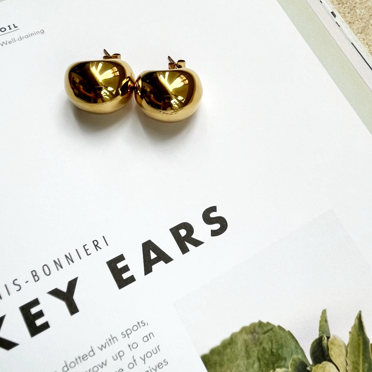 Stella Earrings