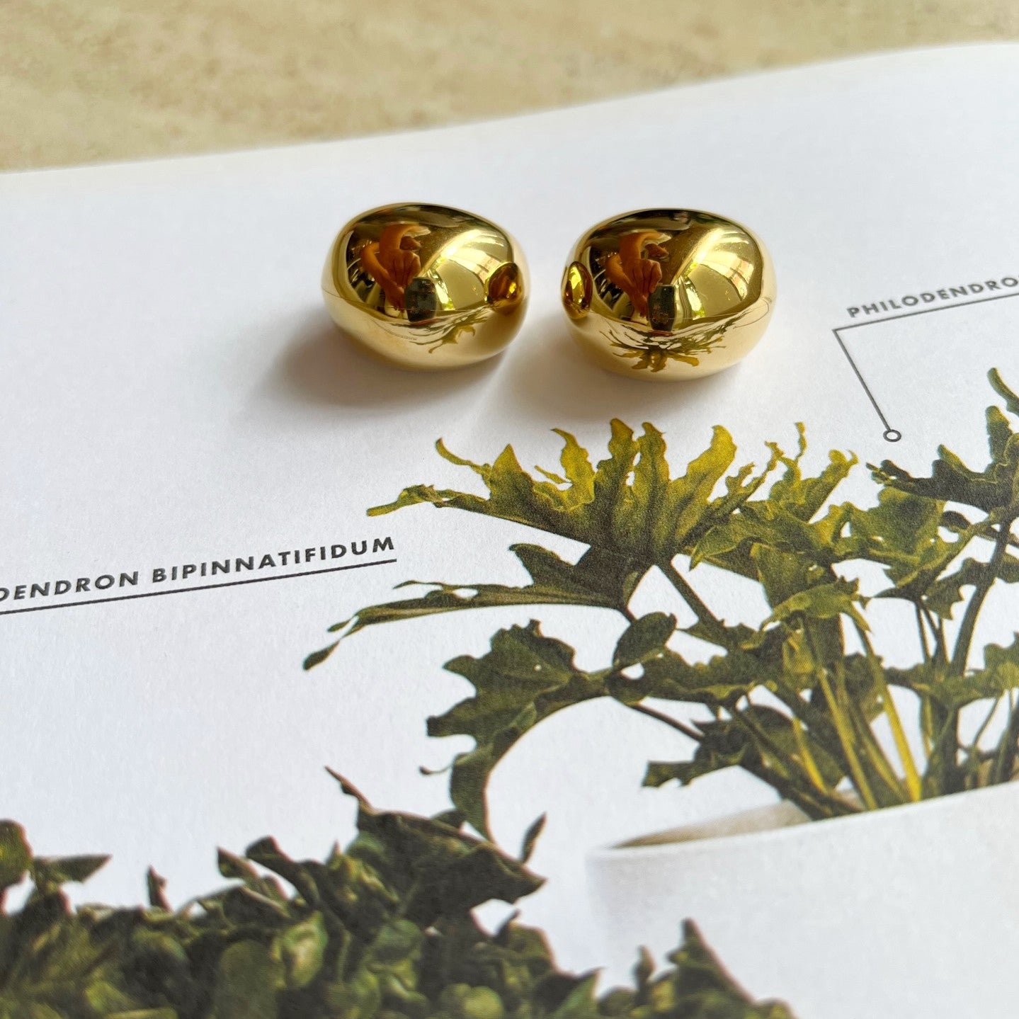 Stella Earrings